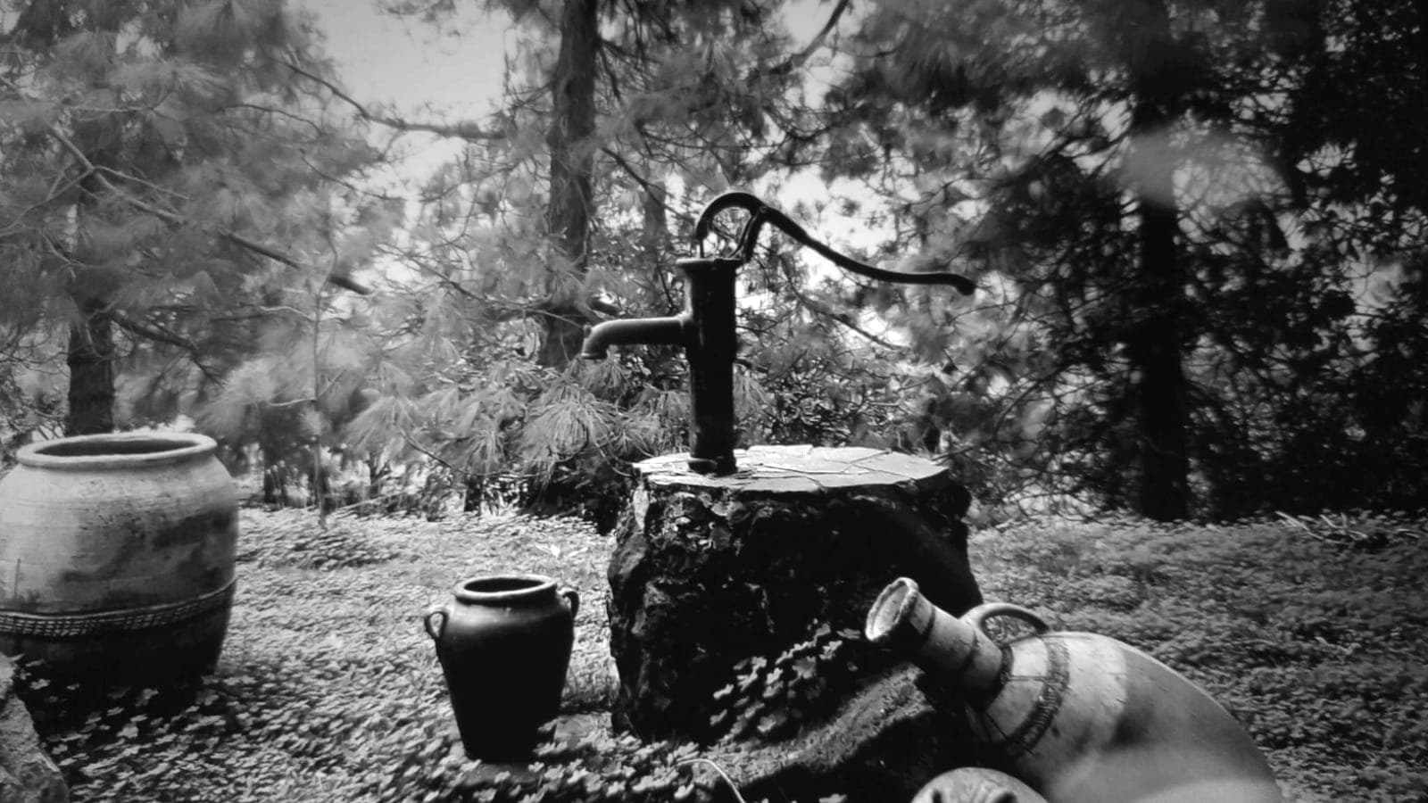 La bomba de hierro de palanca, sobre el viejo pozo. Se accionaba a mano para subir el agua del huerto.