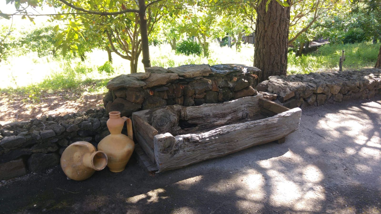 Una artesa tallada en un solo tronco ahuecado. Comedero y bebedero de los animales, apoyado en el muro.