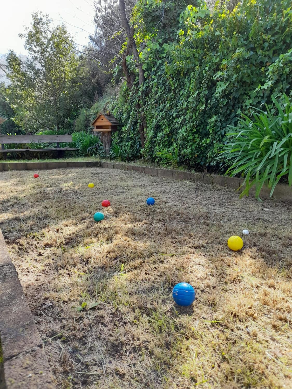 Bolas de petanca de colores sobre la cancha de tierra entre pinos canarios, con una casita de pájaros al fondo